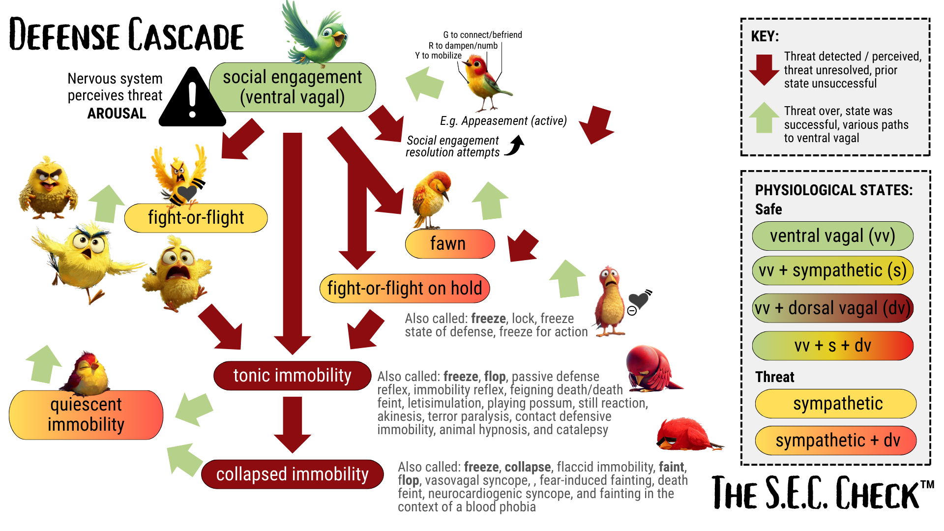 The Defense Cascade: social engagement, fight-or-flight, fawn, freeze, tonic immobility and collapse